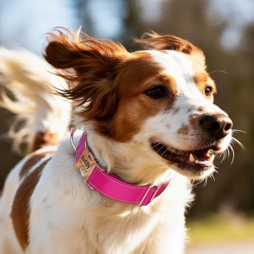Personalized Reflective Dog Collar with Name and Phone Number, Engraved Pet ID Tag, Adjustable Nylon Collar with Quick Release Metal Buckle - Image 3