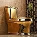 Gold Toilet Bowl with Comfort Seat, One-Piece Elongated Toilet, Dual Flush, Comfort Height Design, for Bathrooms 27.5x29.5x15.3in