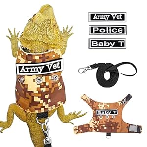 Bearded Dragon Leash and Leash, Adjustable Lizard Bearded Dragon Reptile Harness, Bearded Dragon Lizard Harness go Out to Prevent Escape