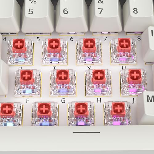 Image of Kailh Box Red Switches for Mechanical Keyboard,3-Pin 45gf Linear /Factory Lubed /Dust&Waterproof Switches(Kailh Box Red,36Pcs)