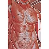 Naked Topless Male Nude, Male Torso, Male Nude Model Nude Abstracts Poster Sexy Man Women Wall Art...
