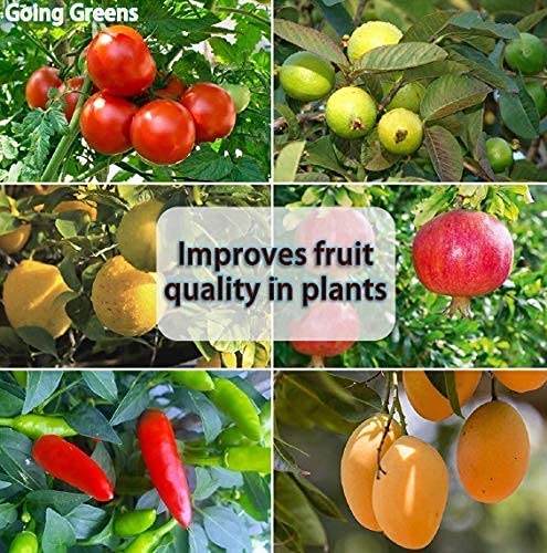 Miniatura 4 de Fertilizante de pastel de mostaza de grado A para el crecimiento de las plantas (900 GM)