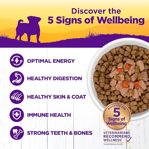 Image of Wellness Petite Entrees Mini Fillets Natural Wet Small Breed Dog Food, Roasted Chicken, Beef, Carrots & Green Beans, 3-Ounce Cup (Pack of 24)