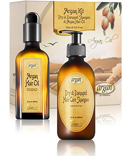 Dry Damaged Shampoo & Argan Oil kit - Moroccan Salt Free Hair Clarifying Shampoo 10.1 oz and Argan Oil Hair Shine Gloss 3.4 oz Set