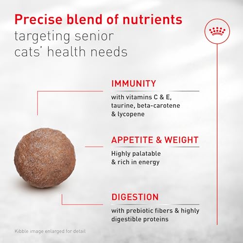 ROYAL CANIN Feline Health Nutrition Aging 11+ Dry Cat Food for Seniors, Kibble Rich in Energy for Cats Over 11 Years, Supports Optimal Health & Vitality, 6 lb Bag - image 3