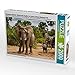 Produktbild CALVENDO Puzzle Abenteuer Sambia: Elefant mit Jungtier im Lower Zambezi National Park 2000 Teile Lege-Größe 90 x 67 cm Foto-Puzzle Bild von Krueger Photography