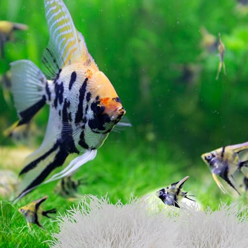 Image of 2pcs Aquarium Plants Decorations Artificial Fish Tank Plants Fish Tank Decorations Plastic Fishes Tanks Accessories Small Large Aquarium Decoration Plastic Artificial Plant(White)