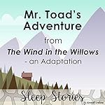 Cover of Mr. Toad's Adventure from the Wind in the Willows: An Adaptation