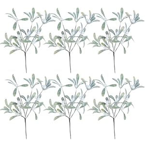Winlyn 6 Pcs Frosted Artificial Mistletoe Spray Christmas Greenery Floral Stems Branches Faux Mistletoe Picks with White Berry 12.6" Tall for Winter Christmas Tree Floral Arrangement Winlyn 6 Pcs Frosted Artificial Mistletoe Spray Christmas Greenery Floral Stems Branches Faux Mistletoe Picks with White Berry 126 Tall for Winter Christmas Tree Floral Arrangement