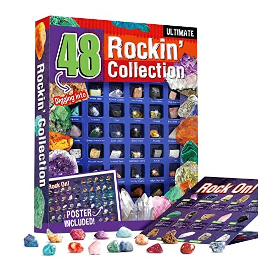 Byncceh 48 Set de Piedras Preciosas Naturales, Minerales de Roca para Niños, Regalo de educación científica, Fiesta de cumpleaños en el Aula