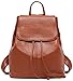 BOYATU Leather Backpack Purse for Women: Ladies Travel Fashion Back Pack - Genuine Leather Bag Casual Handbags for Work (Brown)