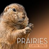 Extreme Music Library LTD