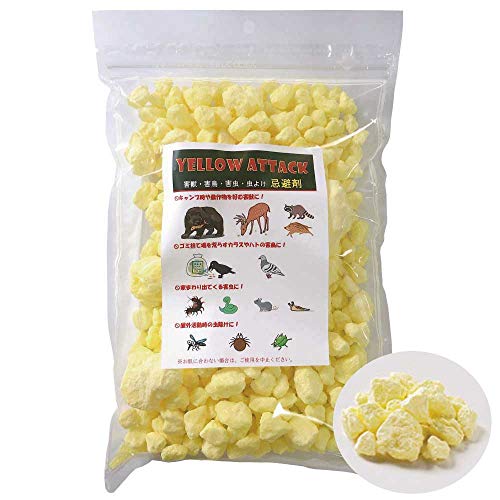 YELLOW ATTACK y܁z  1kg (嗱)