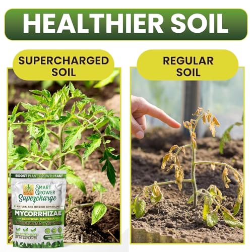 Mycorrhizal Fungi with Beneficial Bacteria, Trichoderma, Sea Kelp, Molasses, Yucca, Smart Grower Supercharge Plant Root Enhancer 4oz Super Concentrate Powder Makes 50 Gallons