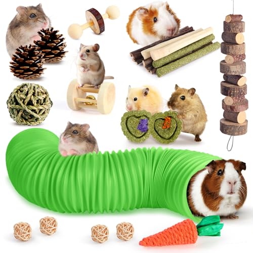 Kyouki Hamster Toys Guinea Pig Toys Set with Tunnel, Chewable Apple Wood & Natural Timothy Hay - Enrichment Chew Toys for Small Animals - 24+ Cage Accessories for Teeth Care & Boredom Relief (Green)