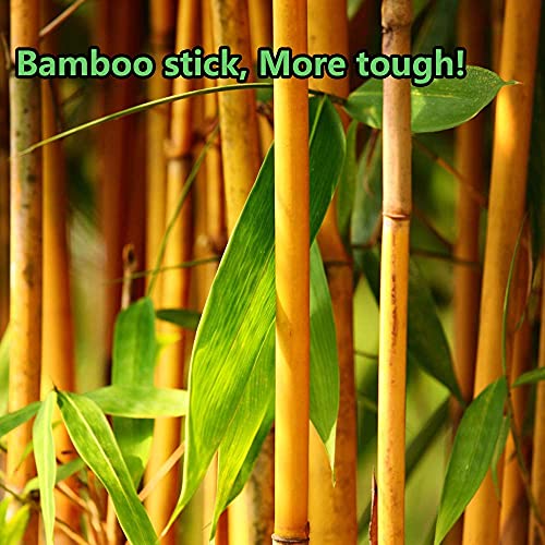 Image of 3600pcs Precision Tip Cotton Swabs for Makeup, Double Pointed Cottonbuds | Bamboo sticks