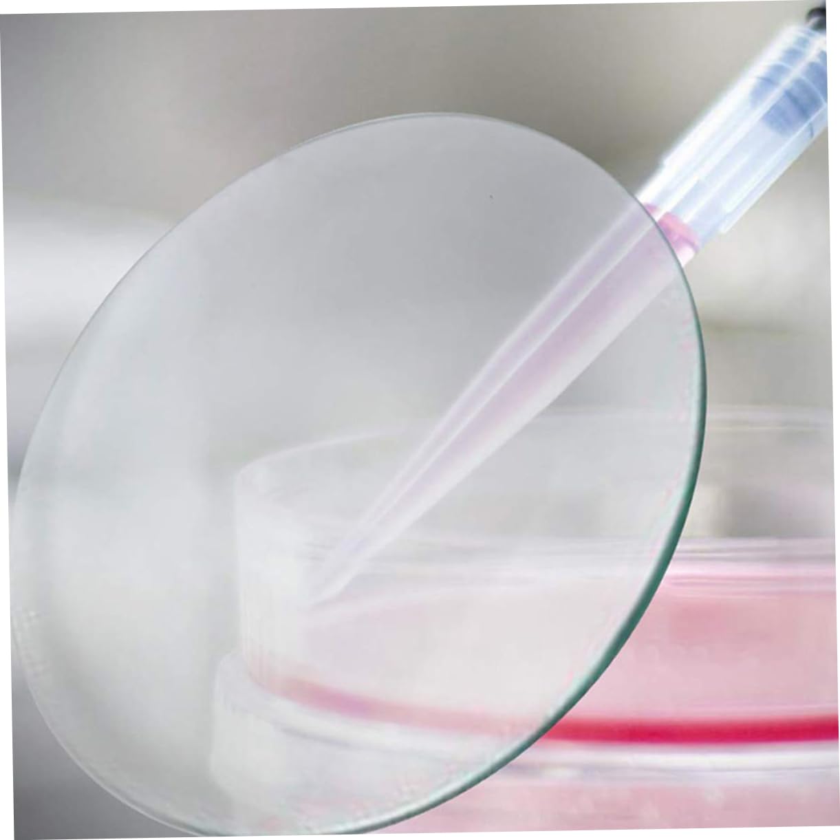 10pezzi Vetri Trasparenti Per Orologi in Vetro Coperchi Per Becher Da Laboratorio Accessori Per Esperimenti Chimici Design Preciso Per Misurazioni Resistente Alle Alte Temperature