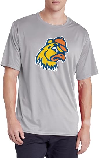 Official NCAA Collegiate Mens Sport Active T-Shirt Primary Logo Athletic Heather Collection