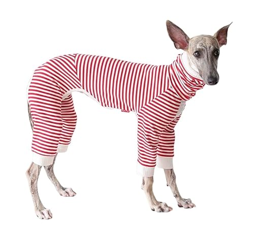 C^O nCXgb` ׃{[_[TVc Jbg\[ TVc {[_[ nClbN   C^O ~js  C^AO[nEh ~ xhgeA EBybg p g