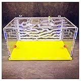 Zoom IMG-1 attrex ant farm acrylic nest