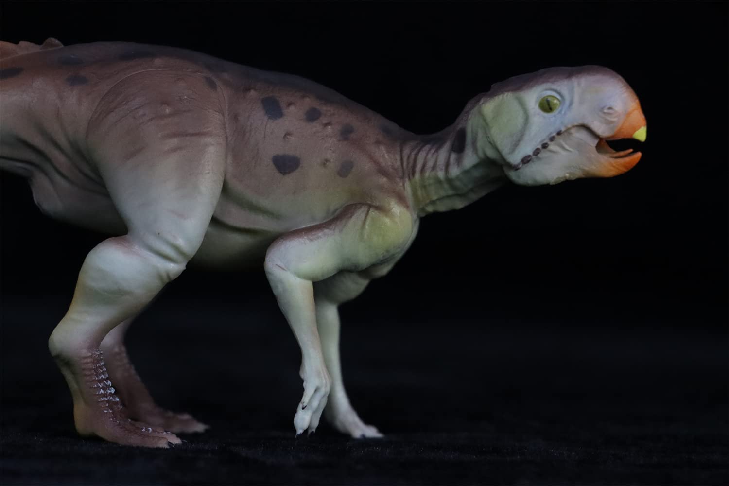 Amazon | プシッタコサウルス 草食恐竜 主竜類 鳥脚亜目 スタチュー