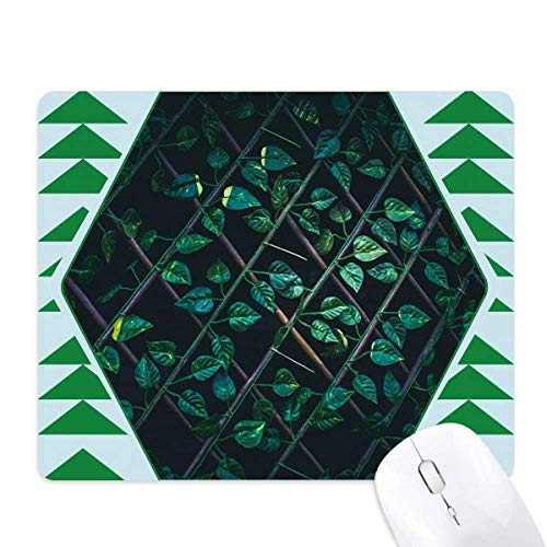 Tapis de souris photo nature avec plantes à feuilles et forêt de pins sauvages