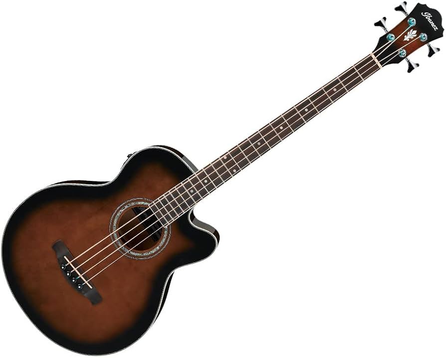 Ibanez AEB10 エレアコベース アコベ アコースティック Amazon.com