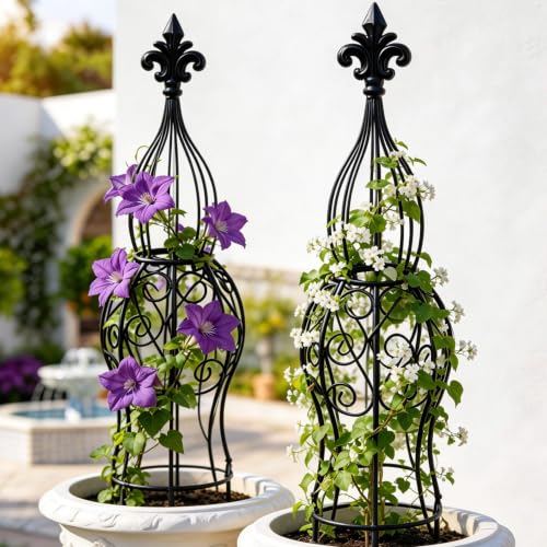 2-Pack Garden Obelisk Trellis for Climbing Roses & Flowering Vines, 30" Tall Iron Plant Support, Tool-Free Snap Assembly, Decorative Outdoor Accent for Patio Planters & Entryways