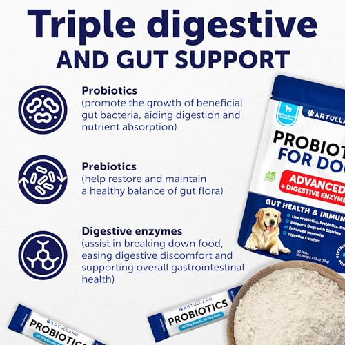 Image of Probiotics for Dogs - Support Gut Health, Itchy Skin, Allergies, Immunity, Yeast Balance - Dog Probiotics and Digestive Enzymes - 30 Sticks