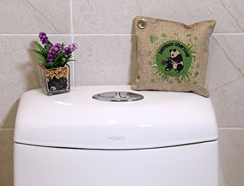 Natural Odor Eater e shoe Deodorizer - fragranza