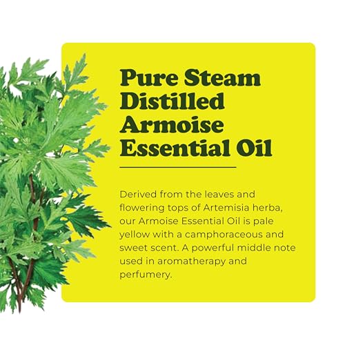 Aceite Esencial de Armoise – Mugwort Puro 1 Fl Oz miniatura 2