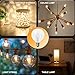 Wax Warmer Bulbs,25 Watt Scentsy Light Bulbs for Full Size Scentsy Warmers,120V G16.5 Globe Candle Warmer Lamp Bulb,G50 E12 Base Type g Bulb,Warm White,Dimmable,6 Pack