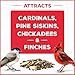 Pennington Pride Birder's Blend, Wild Bird Seed for Outside Feeders, Fruit Flavored Blend Attracts a Wide Variety of Birds, 10-lb. Bag
