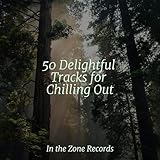 In the Zone Records