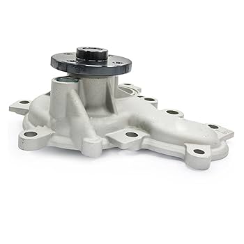 スカッパーレ〈逃避） Amazon.com: Engine Water Pump 1610079185 Compatible with