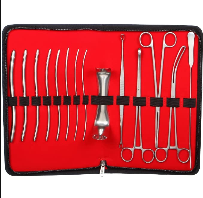 Medipulse D and C Kit Surgical Instruments Set with Kit Bag (B09W9ZP1XX) Amazon Price History, Amazon Price Tracker