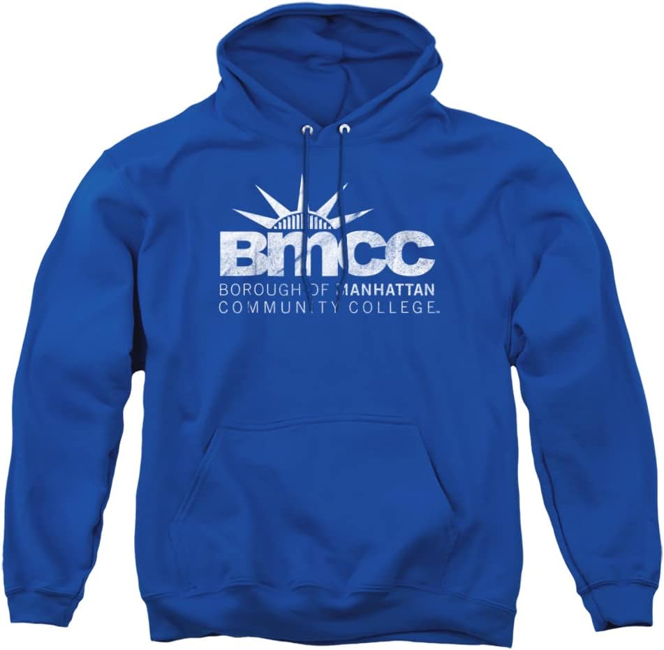 LOGOVISION Official Collegiate Distressed Primary Logo Adult Pullover Hoodie Collection