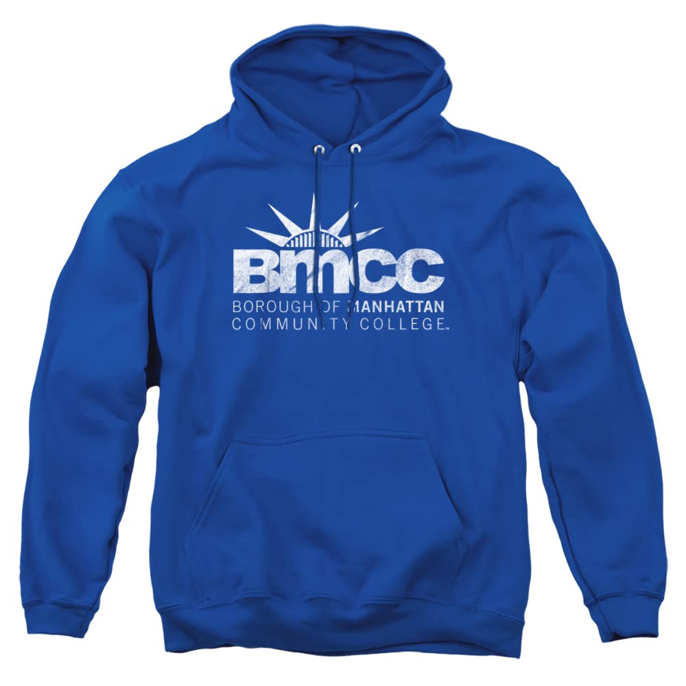 LOGOVISION Official Collegiate Distressed Primary Logo Adult Pullover Hoodie Collection — view 72