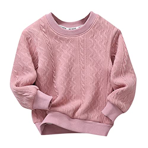Toddler Children Kids Baby Boys Girls Solid Round Collar Knitted Thick Sweater Pullover Blouse Tops (E, 5-6 Years)
