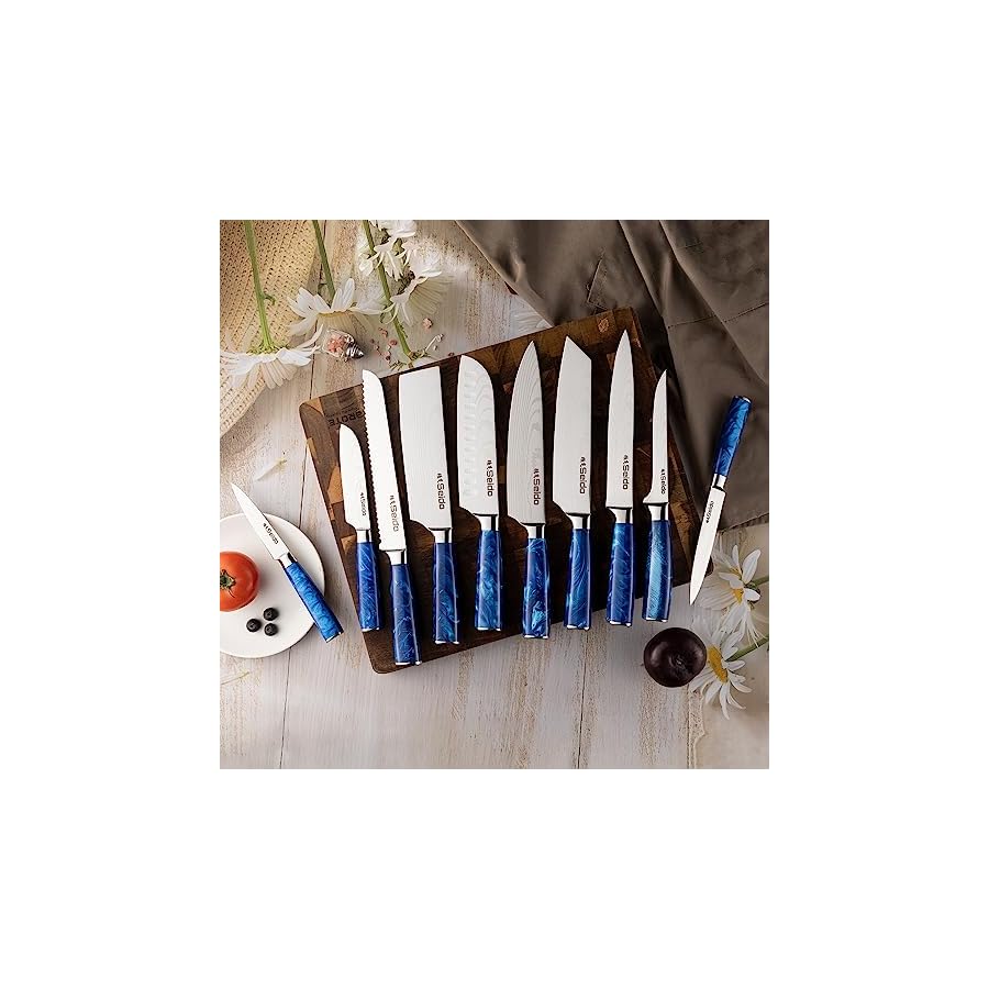 Seido Knives 10-Piece Tengoku Chef Knife Set - Handmade Artisan Craftsmanship, High Carbon Stainless Steel Blades with Ergonomic Resin Epoxy Handles for Perfect Balance