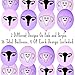 ROFLmart Uterus Party Bundle Banner Confetti And Balloon Decorations For Hysterectomy Party