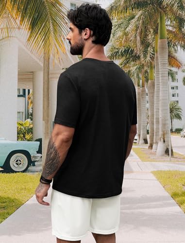 NIASHOT Mens T Shirts Short Sleeve Classic V Neck T-Shirt Casual Summer Basic Tee Shirt4