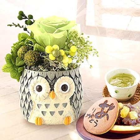 Amazon 敬老の日 の プレゼント 人気商品 花 バラ おいもや どら焼き お菓子 花とスイーツ 敬老の日ギフト プリザーブドフラワー アレンジメント ふくろう グレー プリザーブドフラワー オンライン通販