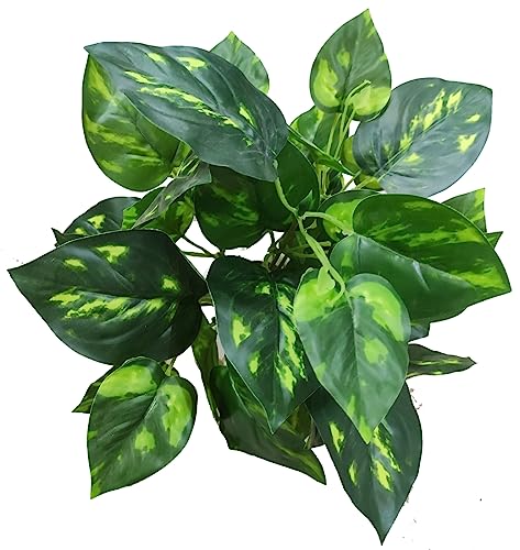 Image of Natural Looking Artificial Money Plant /Tree with Pot | Ornamental Plant for Interior Decor | Home /Shop /Office Decor (Multicolour)