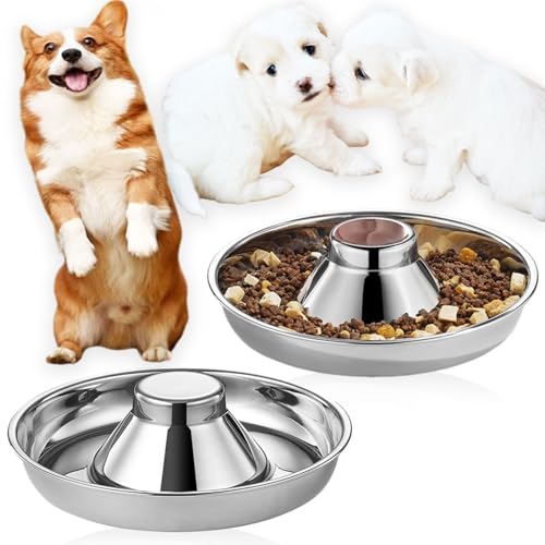 Nexboraque 2 Stück Edelstahl-Welpennäpfe – 25,4 cm Welpen-Futterspender Langsame Futternäpfe für mehrere Welpen – Futter- und Wassernapf für kleine Hunde, Katzen