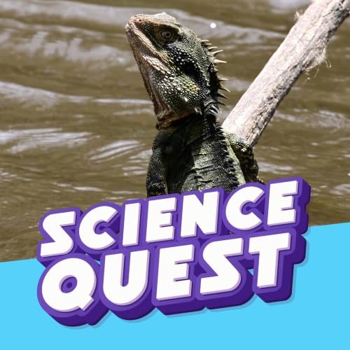 Defying Gravity: The Lizard That Can Literally Run on Water! 🦎💧