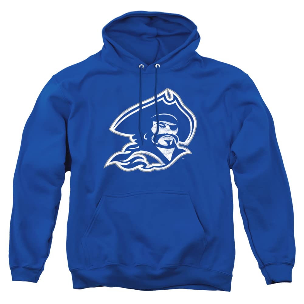 LOGOVISION Official Collegiate Distressed Primary Logo Adult Pullover Hoodie Collection — view 403