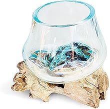 Beautiful 11cm dia glass vase bowl intricately blown onto a teak root - ideal for flowers or an indoor terrarium - each one unique