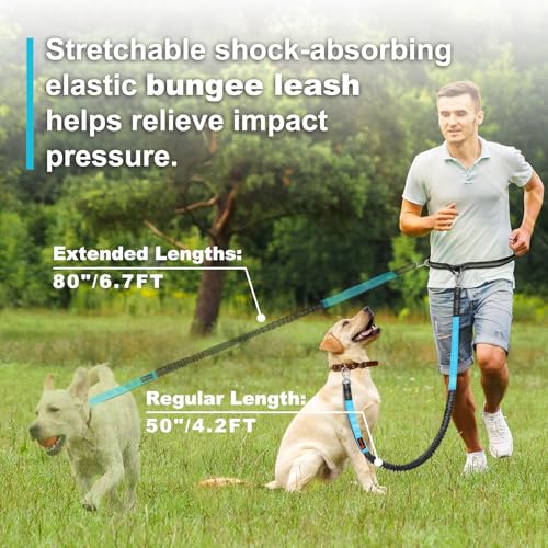 image for Laqibak Hands Free Dog Leash, Adjustable Waist Leash for Dog, Handle B