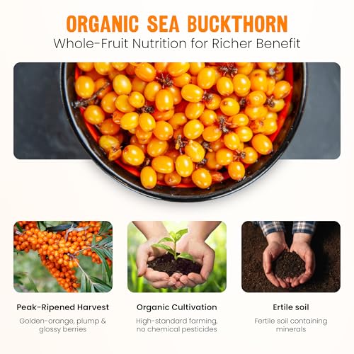 Image of Parisar Himalayan Sea Buckthorn Juice 300ml | No Added Sugar| Pure Sea Buckthorn Pulp Concentrate | Rich in Omega 3 6 9 7, Vitamin C & Antioxidants